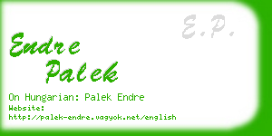 endre palek business card